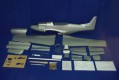 Carf P-51 Mustang 2.5m (Silber)