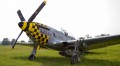 Carf P-51 Mustang 2.5m (Silber)