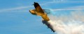 Carf Sukhoi SU-31 3m ab