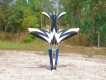Carf Ultra Lightning ab